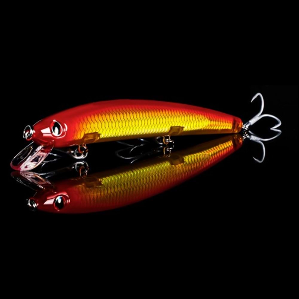 Japanese Minnow HG2539 - B
