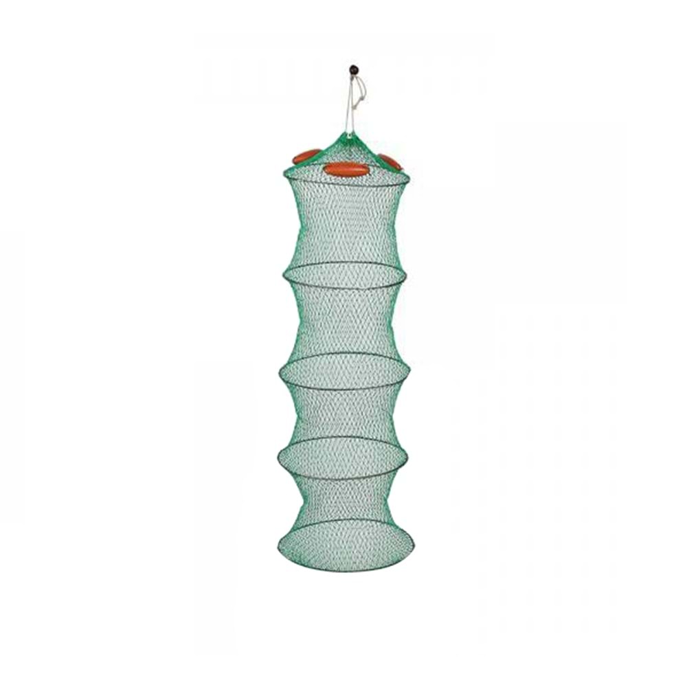 İp Livar HG241