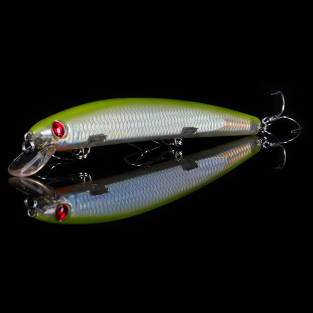 Japanese Minnow HG2531