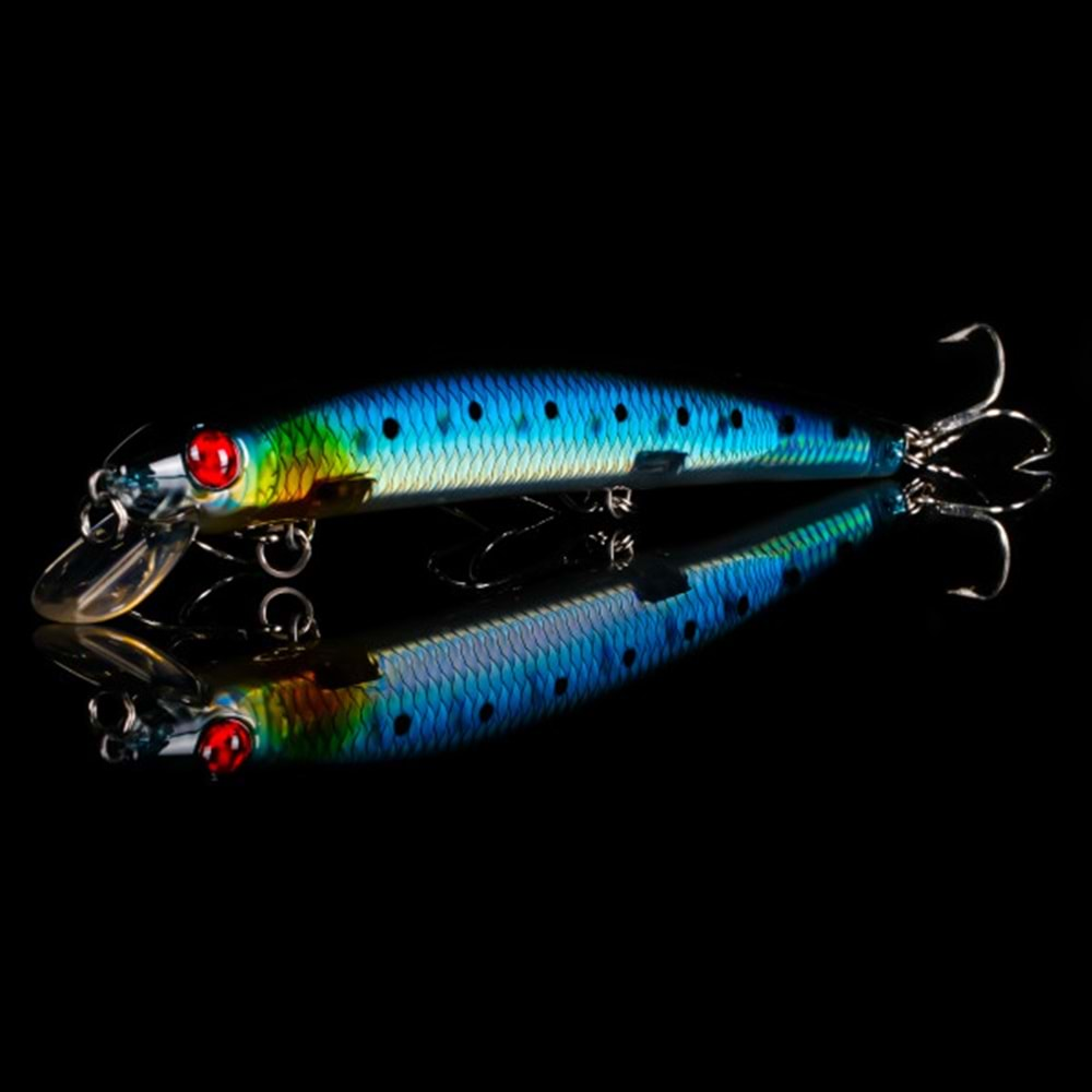 Japanese Minnow HG2532