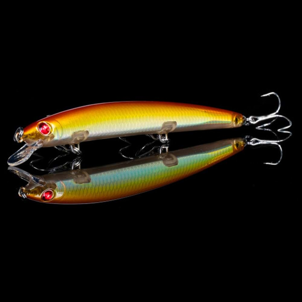 Japanese Minnow HG2547