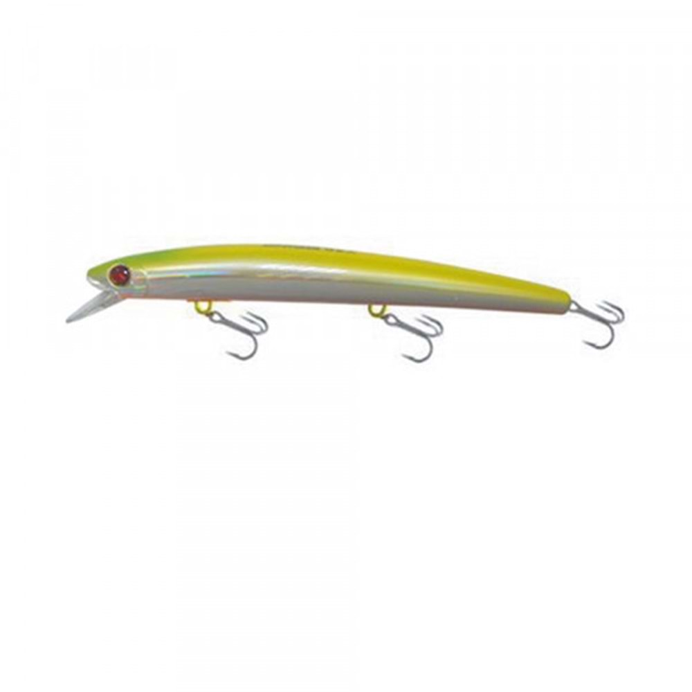 Japanese Minnow HG2552