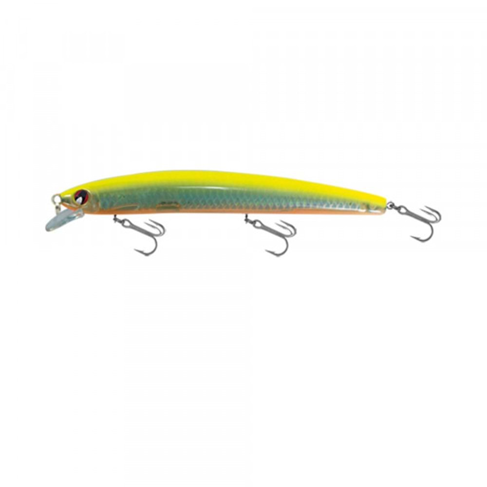 Japanese Minnow HG2554