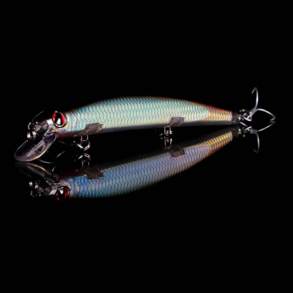 Japanese Minnow HG2555