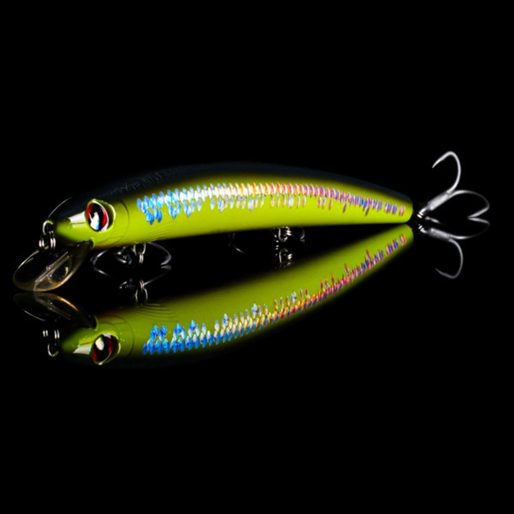 Japanese Minnow HG2558