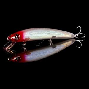 Japanese Minnow HG2544