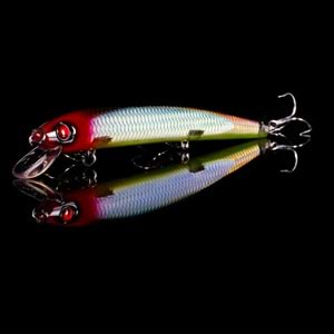 Japanese Minnow HG2545