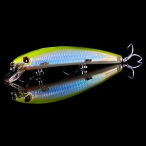 Japanese Minnow HG2554