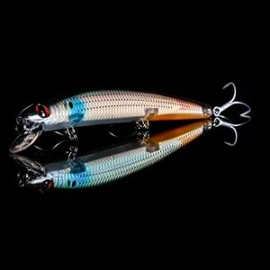 Japanese Minnow HG2556