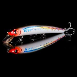 Japanese Minnow HG2559