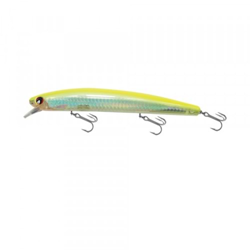 Japanese Minnow HG2531