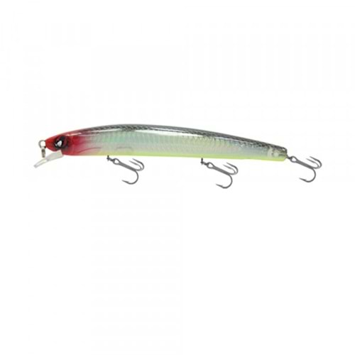 Japanese Minnow HG2545