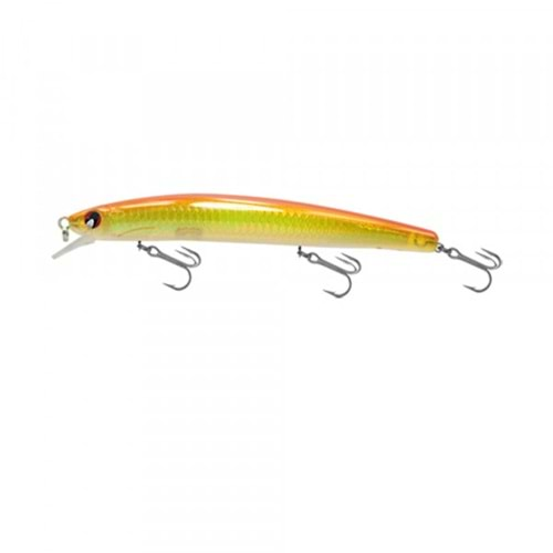 Japanese Minnow HG2547