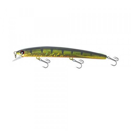 Japanese Minnow HG2551