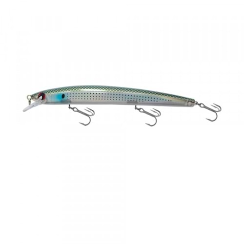 Japanese Minnow HG2556