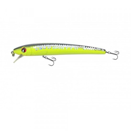 Japanese Minnow HG2558