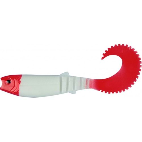  Sasi Tail HG21 - 5