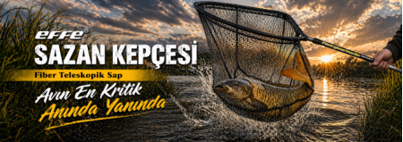 effe-kepçe-sazan